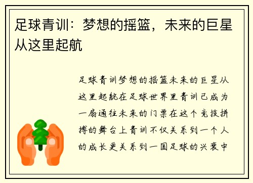 足球青训：梦想的摇篮，未来的巨星从这里起航