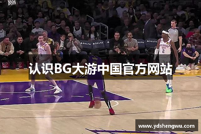 认识BG大游中国官方网站